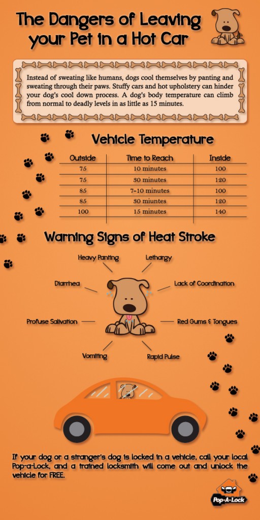 dangers of leaving dog in car