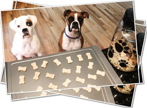 homemade dog treats