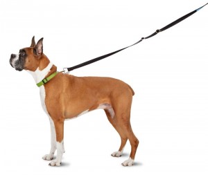thunderleash2