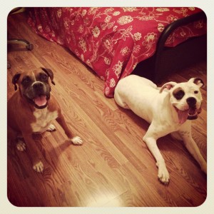 Molly Boo and Luther
