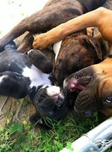 babies upsidedown