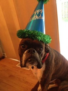 bday2