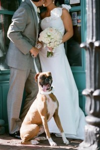Stacie Richter's Pinterest Picture
