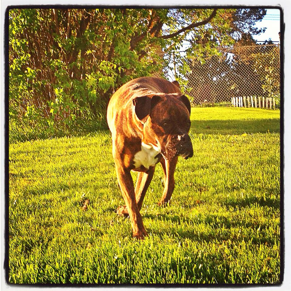 outside play