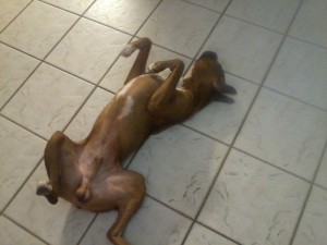 upsidedown3