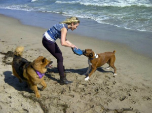 Chelsea Handler (comedian, actor)