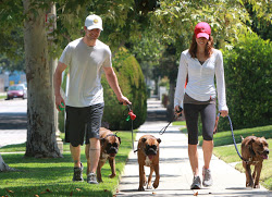 Justin+Jessica+walk+their+dogs