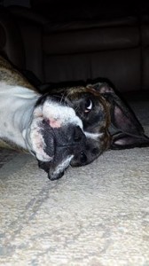 funny face