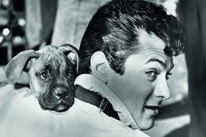 HOLLYWOOD DOGS P19A.JPG