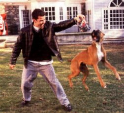 Jordan Knight (singer) and his boxer