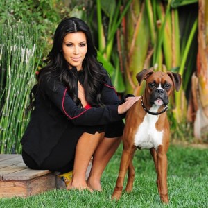 kim-kardashian-and-boxer-gallery