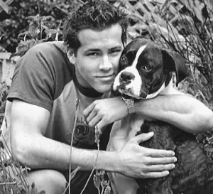 ryan reynolds and boxer