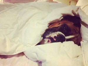 Logan -posted by Kristen