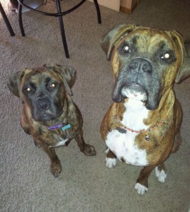 Margot and Guenther